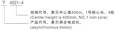 西安泰富西玛Y系列(H355-1000)高压YJTFKK5600-8三相异步电机型号说明